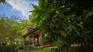 Hotel Garden