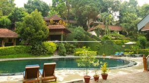 Swimming Poll (2)