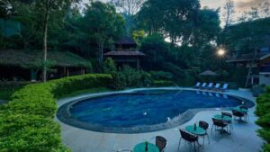 Swimming Poll (4)