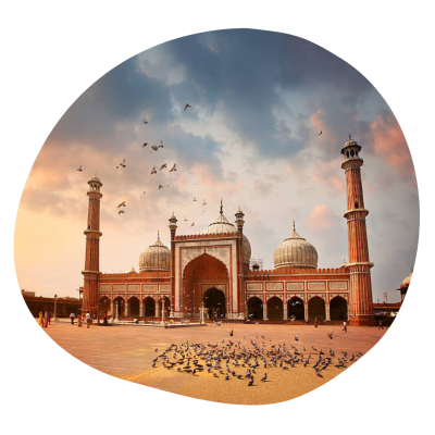 website pictures (12)